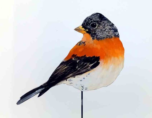 Bergfink Deko Vogel