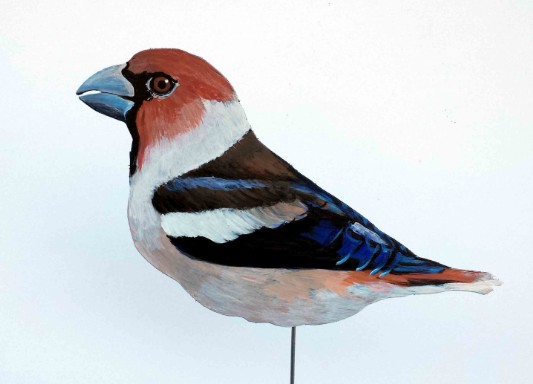 Kernbeisser Deko Vogel