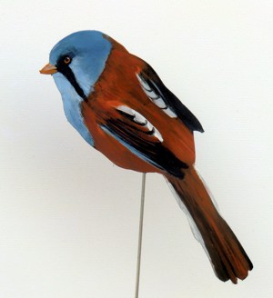 Bartmeise 0075-a panurus biarmicus
