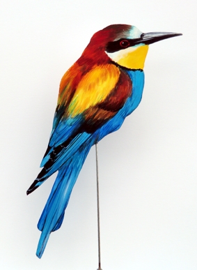 Bienenfresser 0040-a merops apiaster