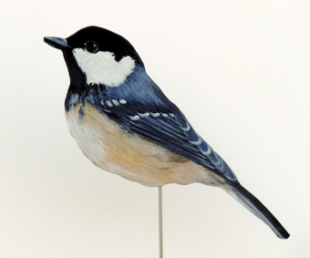 Tannenmeise 0055-a parus ater