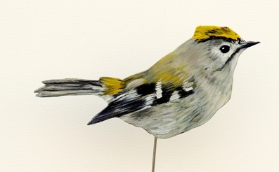 Wintergoldhähnchen 0088-a regulus regulus