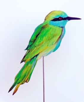Smaragdspint 0103-a merops orientalis