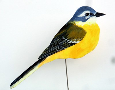 Gebirgsstelze 0092-a motacilla cincinera