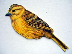 Goldammer 0008-c emberiza cittinella