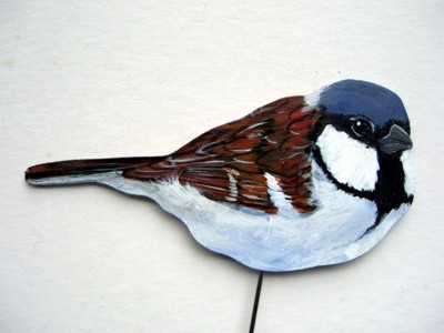 Haussperling 0045-b passer domesticus