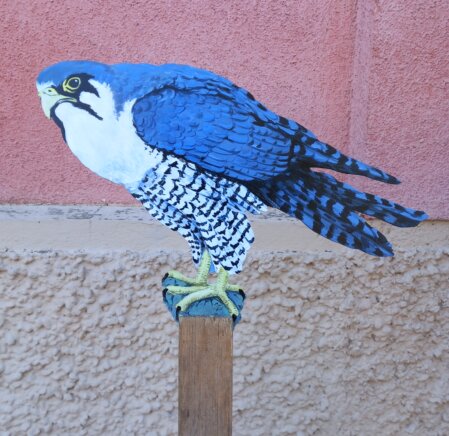 Wanderfalke-Dekovogel-wetterfest