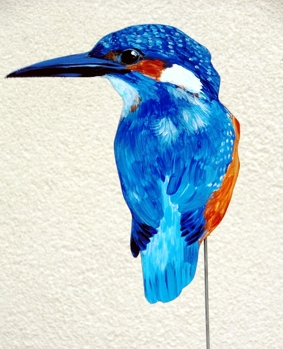 Eisvogel